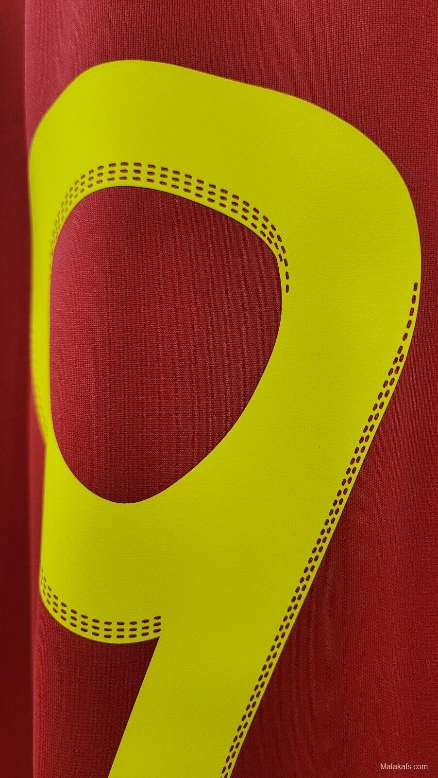 Retro 2010 Spain Home Jersey